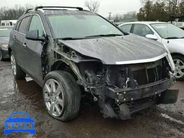 2010 CADILLAC SRX PERFOR 3GYFNEEY3AS591839 image 0