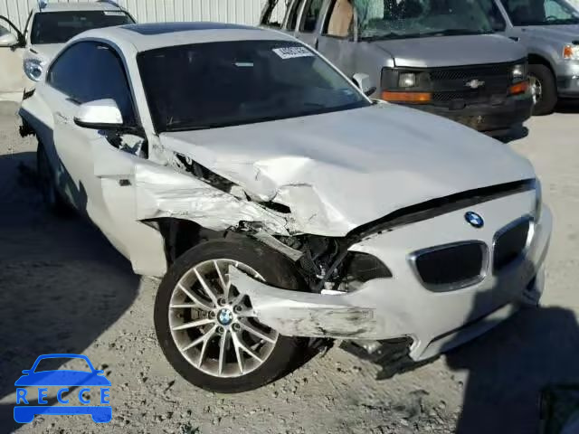 2014 BMW 228I WBA1F5C56EVV99355 image 0