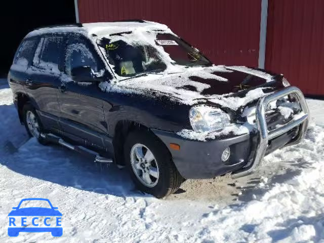 2005 HYUNDAI SANTA FE B KM8SB73D75U979618 image 0