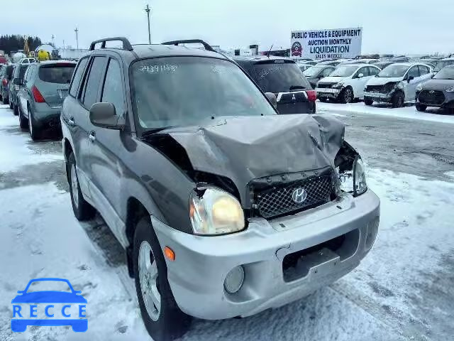 2004 HYUNDAI SANTA FE B KM8SB73E54U742861 Bild 0