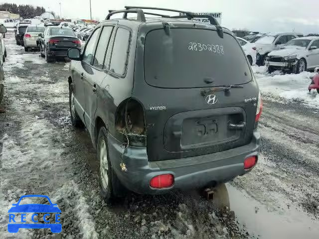 2003 HYUNDAI SANTA FE B KM8SB13D53U545112 зображення 2