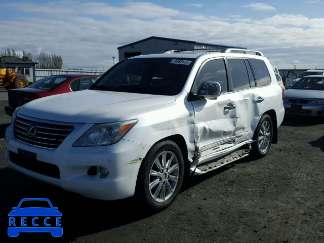 2009 LEXUS LX 570 JTJHY00W894029054 image 1