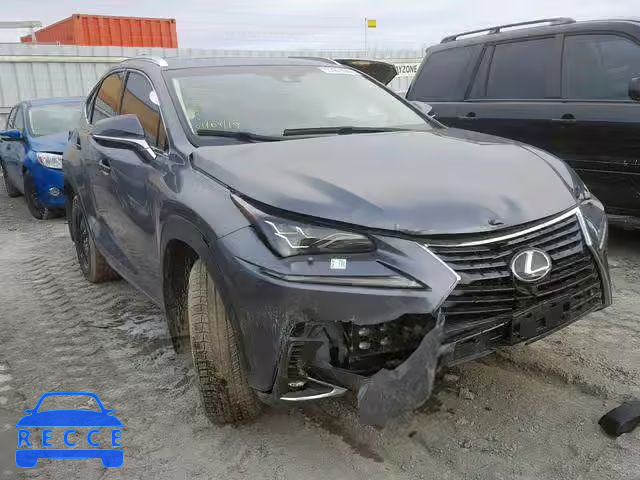 2018 LEXUS NX 300 JTJBARBZ7J2171465 image 0