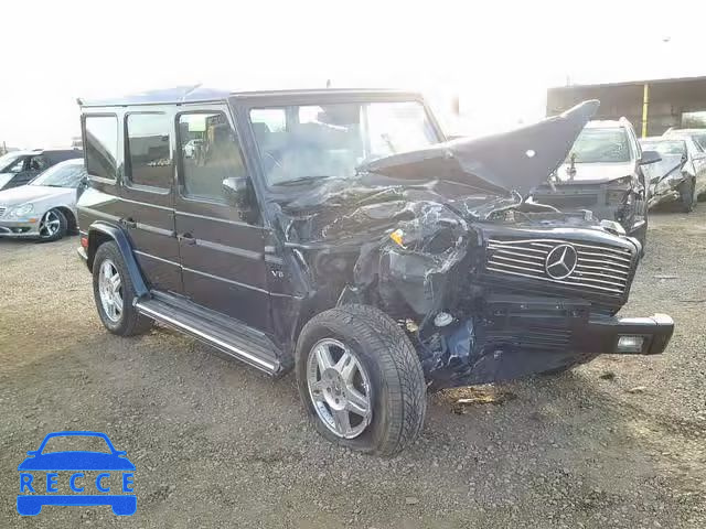 2002 MERCEDES-BENZ G 500 WDCYR49E82X129302 image 0