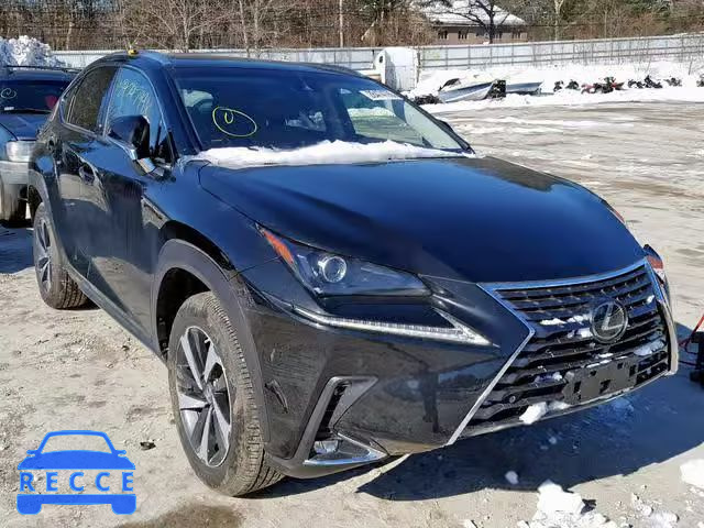 2019 LEXUS NX 300 JTJBARBZ3K2182724 image 0