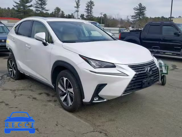 2018 LEXUS NX 300 JTJBARBZ7J2162037 image 0