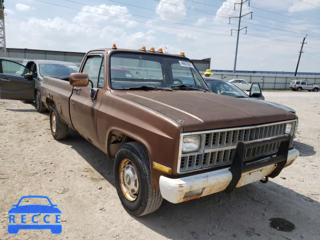 1981 CHEVROLET C20 1GCGC24M9BF351245 Bild 0