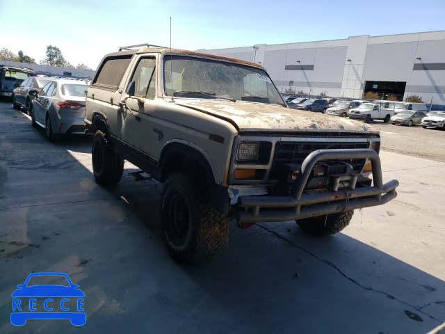 1981 FORD BRONCO U10 1FMDU15G0BLA17170 image 0