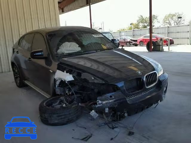 2013 BMW X6 XDRIVE3 5UXFG2C5XDL787163 image 0