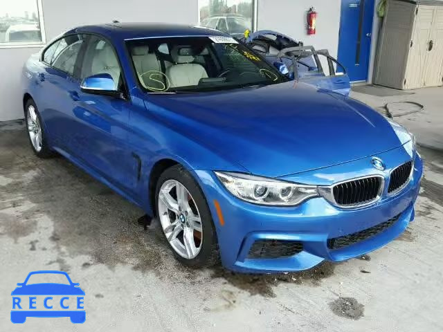 2015 BMW 428I GRAN WBA4A5C53FGK15291 зображення 0