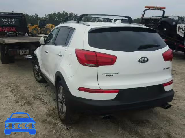 2014 KIA SPORTAGE S KNDPC3A60E7582772 image 2