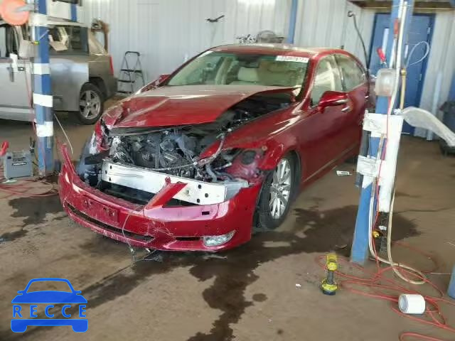 2010 LEXUS LS460 AWD JTHCL5EF6A5004930 image 1