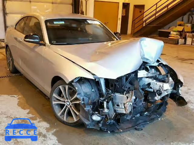 2014 BMW 228I WBA1F5C59EVV99785 Bild 0