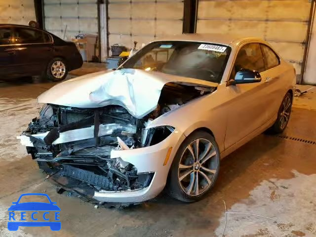 2014 BMW 228I WBA1F5C59EVV99785 Bild 1