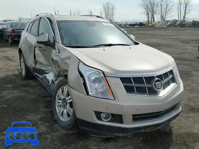 2012 CADILLAC SRX PREMIU 3GYFNFE36CS526268 image 0