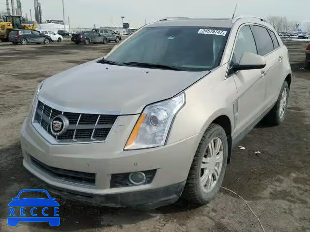 2012 CADILLAC SRX PREMIU 3GYFNFE36CS526268 image 1