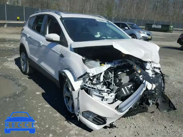 2017 FORD ESCAPE TIT 1FMCU0JD1HUC44243 image 0