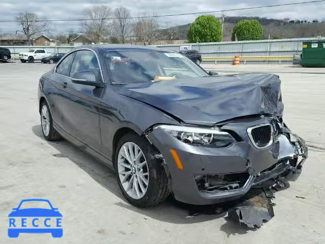 2014 BMW 228I WBA1F5C51EV246229 зображення 0