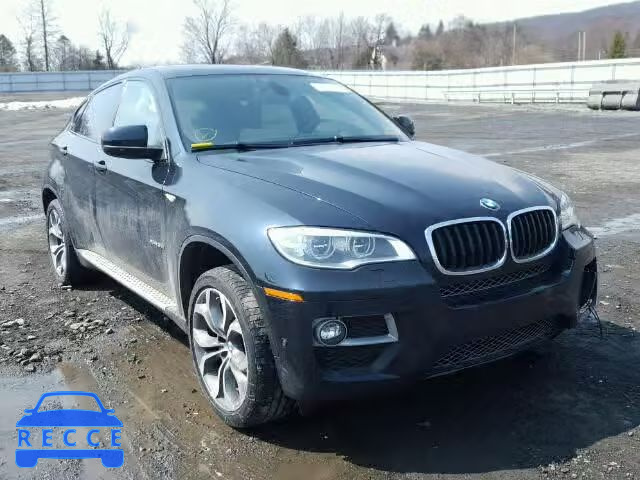 2013 BMW X6 XDRIVE3 5UXFG2C55DL786857 image 0