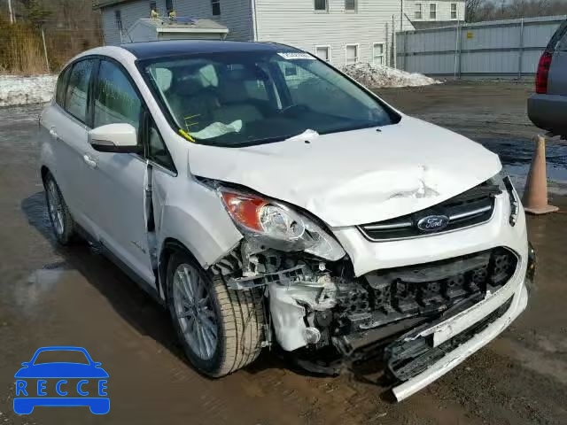 2015 FORD C-MAX SEL 1FADP5BU8FL106025 image 0