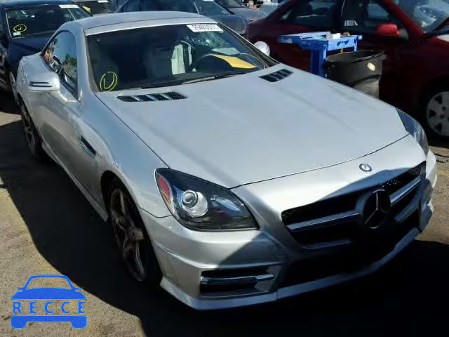 2013 MERCEDES-BENZ SLK250 WDDPK4HA8DF057066 image 0