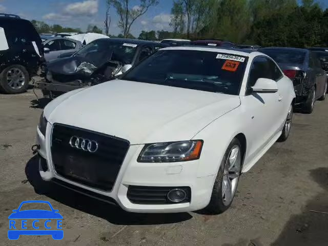 2009 AUDI A5 QUATTRO WAUDK78T69A022916 Bild 1
