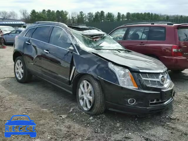 2013 CADILLAC SRX PERFOR 3GYFNHE31DS568604 image 0