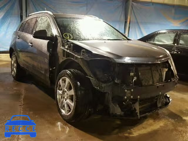 2011 CADILLAC SRX PERFOR 3GYFNBEY3BS558680 Bild 0