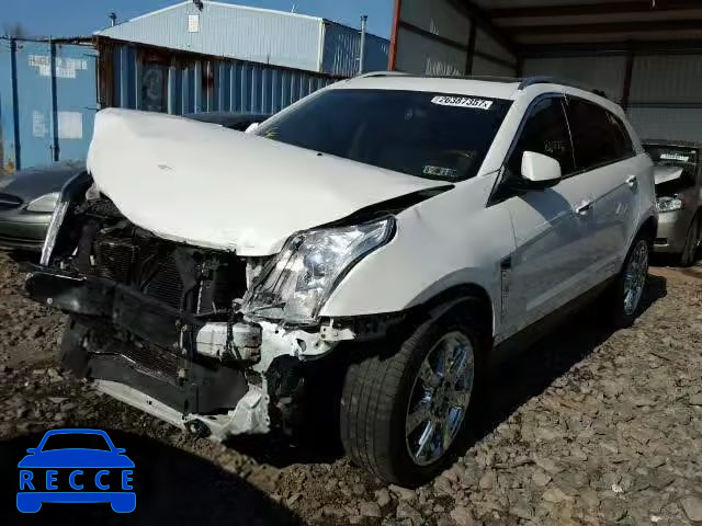 2010 CADILLAC SRX PERFOR 3GYFNEEY4AS575018 Bild 1