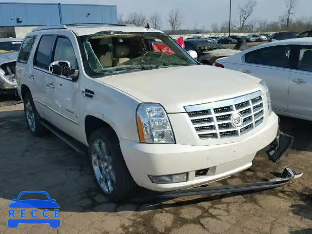 2010 CADILLAC ESCALADE P 1GYUKCEF3AR155448 image 0