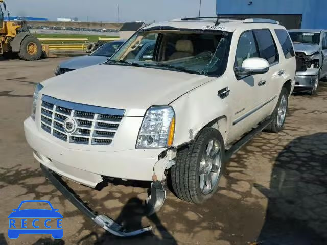 2010 CADILLAC ESCALADE P 1GYUKCEF3AR155448 image 1