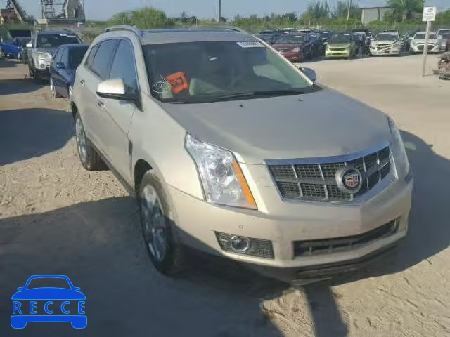 2010 CADILLAC SRX PERFOR 3GYFNBEY8AS539704 зображення 0