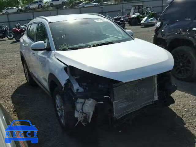 2017 HYUNDAI TUCSON LIM KM8J3CA40HU291663 image 0