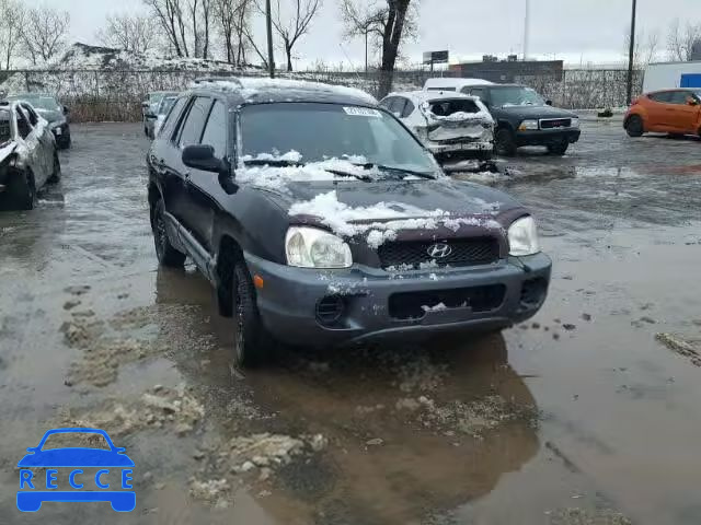 2004 HYUNDAI SANTA FE B KM8SB13D04U712008 зображення 0