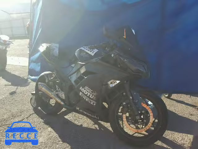 2013 KAWASAKI EX300 A JKAEX8A18DDA12593 Bild 0