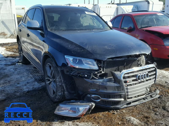 2014 AUDI SQ5 PREMIU WA1CGAFP5EA057552 image 0