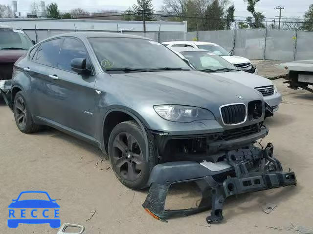 2009 BMW X6 XDRIVE3 5UXFG43529L222098 image 0