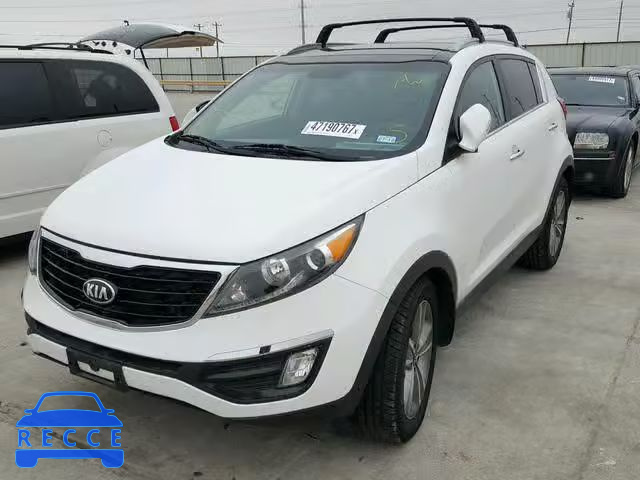 2014 KIA SPORTAGE S KNDPC3A60E7580018 image 1