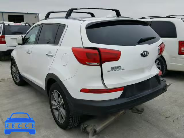 2014 KIA SPORTAGE S KNDPC3A60E7580018 image 2