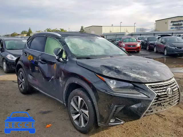 2018 LEXUS NX 300 JTJYARBZ1J2092710 image 0