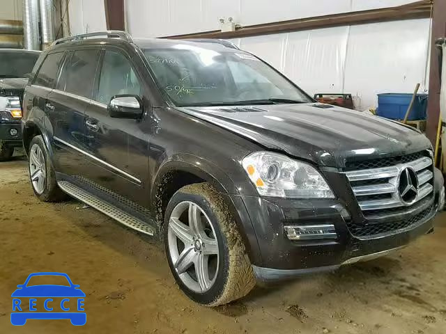 2010 MERCEDES-BENZ GL 550 4MA 4JGBF8GE8AA563442 Bild 0