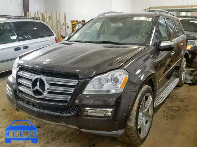 2010 MERCEDES-BENZ GL 550 4MA 4JGBF8GE8AA563442 image 1