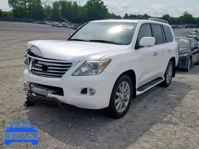 2010 LEXUS LX 570 JTJHY7AX9A4038706 image 1