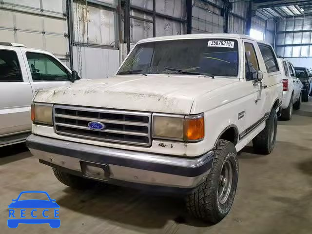 1989 FORD BRONCO U10 1FMEU15N1KLB31679 image 1