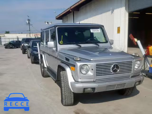 2002 MERCEDES-BENZ G 500 WDCYR49E32X133953 зображення 0