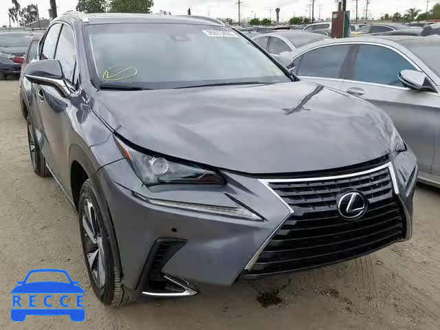 2019 LEXUS NX 300 JTJYARBZ8K2132959 image 0