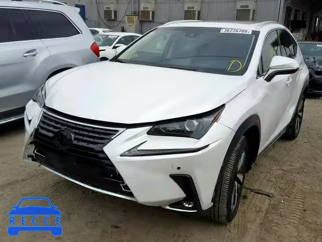 2019 LEXUS NX 300 JTJYARBZ3K2117558 image 1