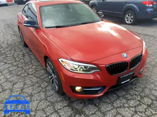 2015 BMW 228 XI WBA1F7C58FVX96301 зображення 1