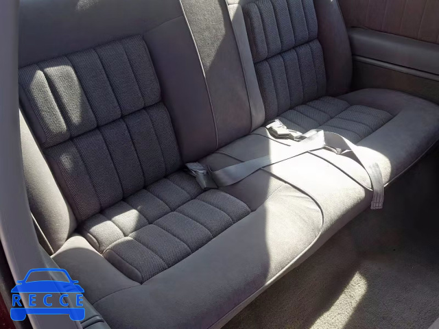 1992 CHEVROLET LUMINA EUR 2G1WN14T1N9274531 image 5