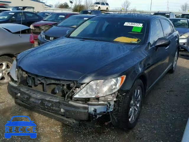 2007 LEXUS LS 460L JTHGL46F375018299 image 1